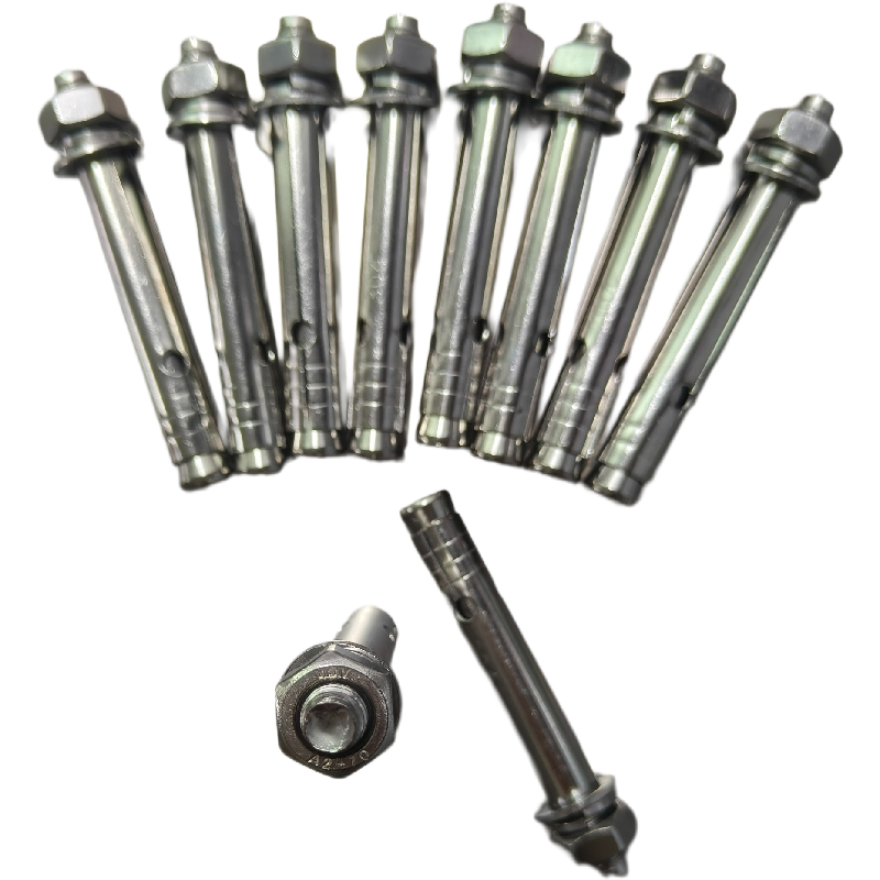 M10x90 Stainless Steel Expansion Bolt